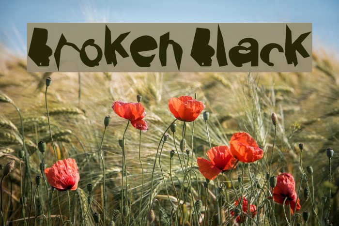 Broken Black Font examples