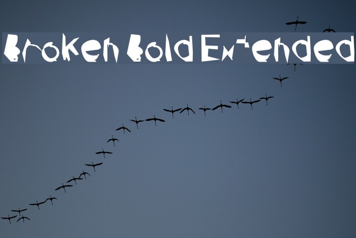 Broken Bold Extended Example 1