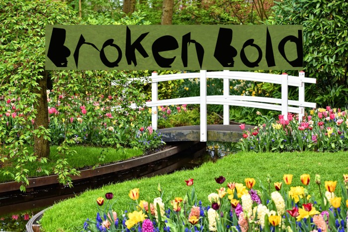 Broken Bold Font examples