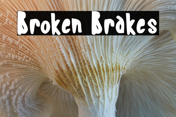 Broken Brakes Example 1