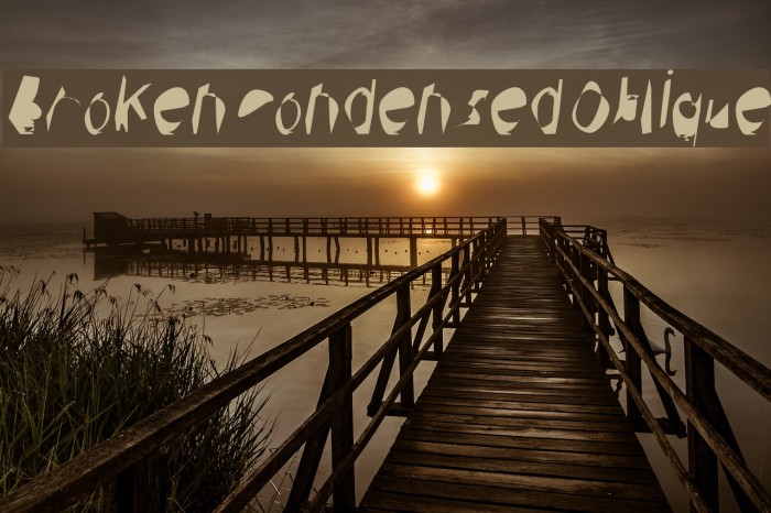 Broken Condensed Oblique Font examples