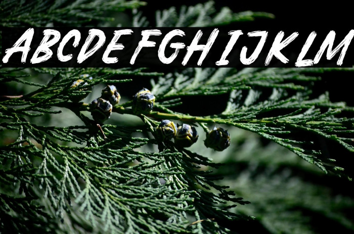 Broken Crush Regular Example 3