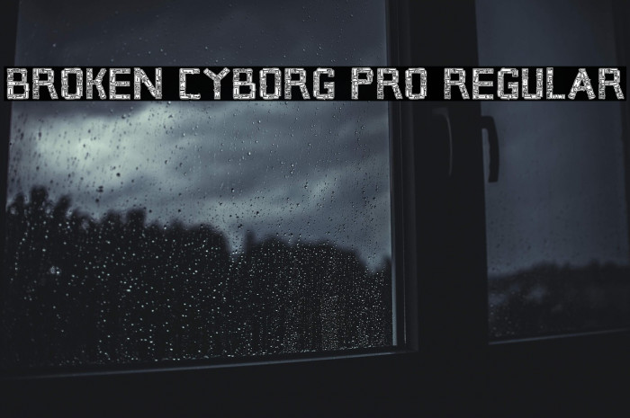 Broken Cyborg Pro Regular Example 1