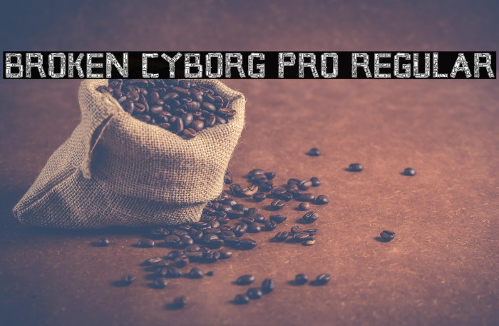 Broken Cyborg Pro Regular Example 2