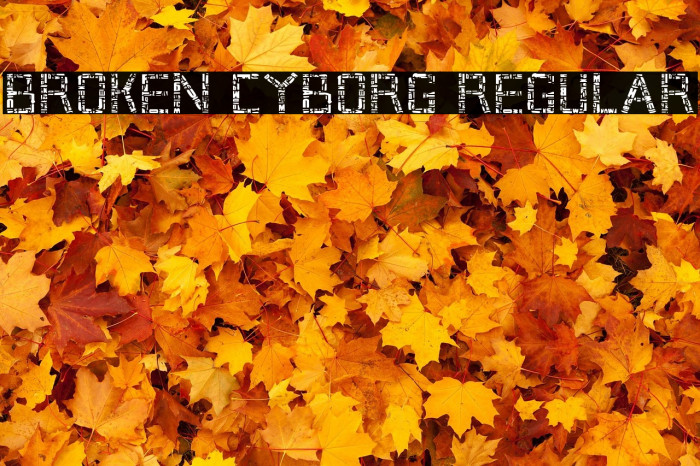 Broken Cyborg Regular Example 1