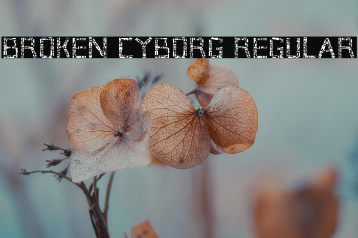 Broken Cyborg Regular Example 3