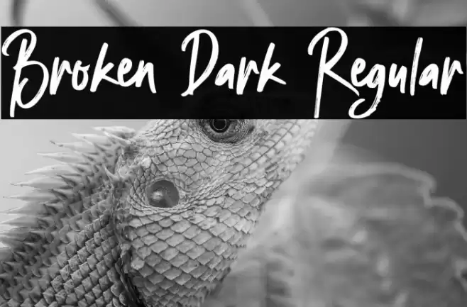 Broken Dark Regular  examples