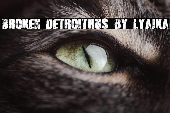 Broken Detroit(RUS BY LYAJKA) Example 3