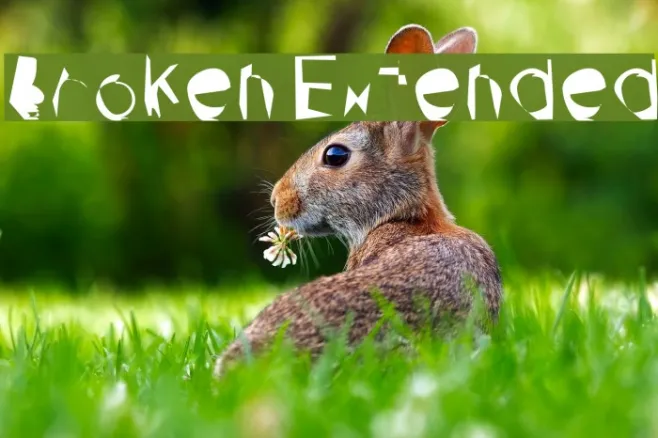 Broken Extended Example 1