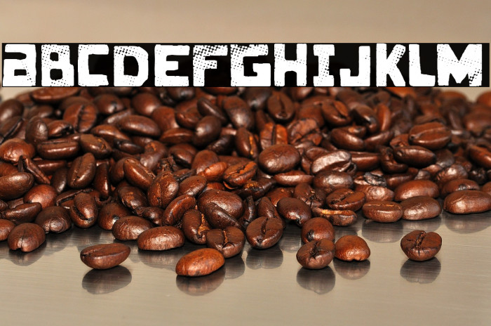 Broken Family Example 2