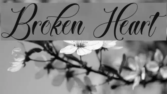 Broken Heart Font examples
