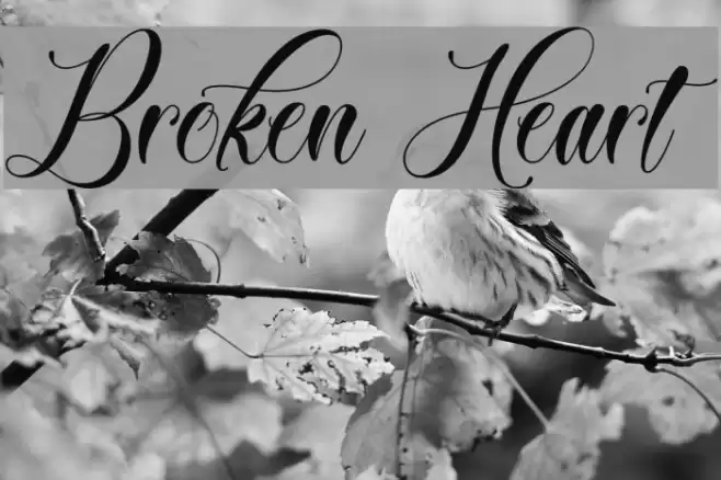 Broken Heart Font examples