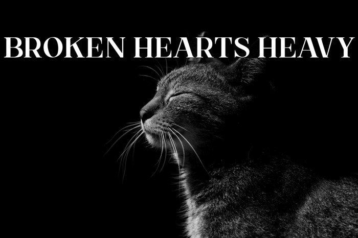 Broken Hearts Heavy Example 3
