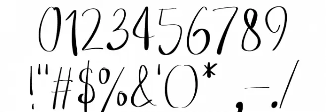 Broken Junior Polices AUTRES CHARS