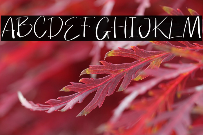 Broken Junior Example 1