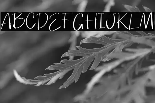 Broken Junior Polices examples