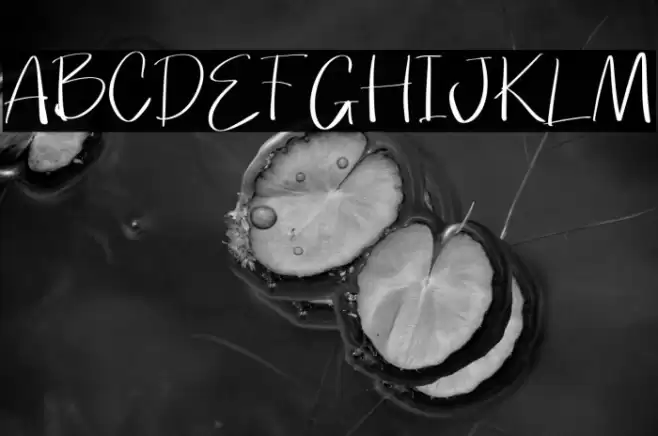 Broken Junior Polices examples