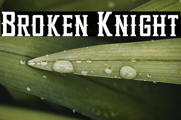 Broken Knight Example 3
