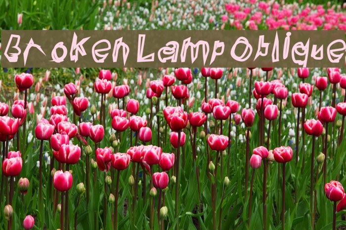 Broken Lamp Oblique Example 1