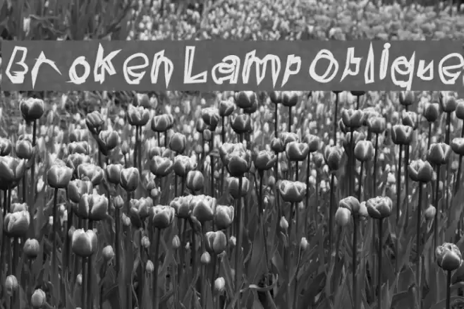 Broken Lamp Oblique Font examples