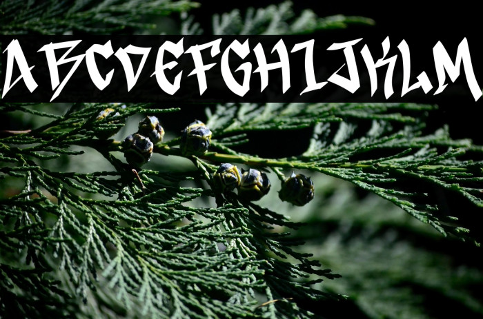 Broken Legend Demo Example 1