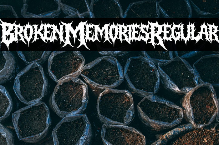 Broken Memories Regular Example 1