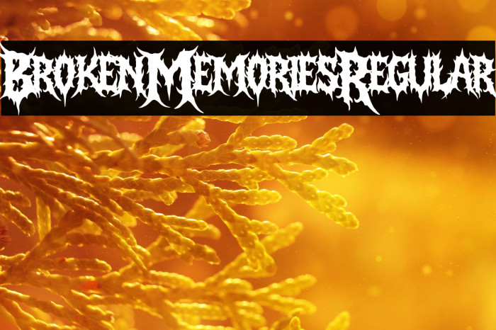 Broken Memories Regular Example 2