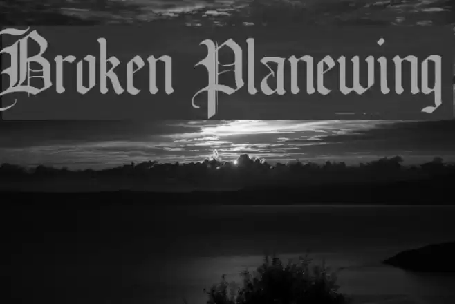 Broken Planewing Polices examples