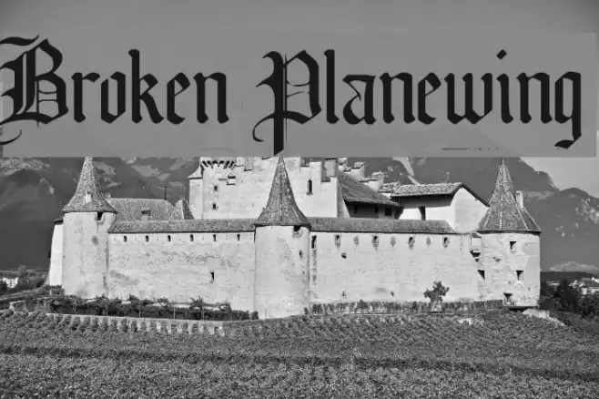 Broken Planewing Polices examples
