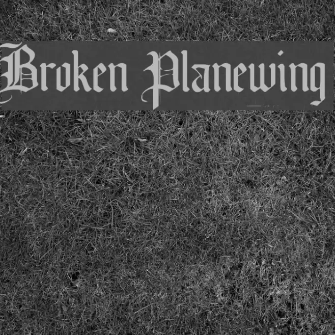 Broken Planewing Polices examples