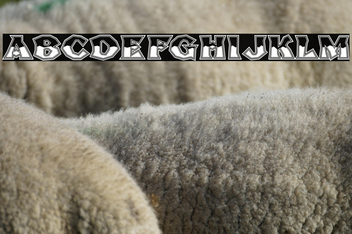 Broken Poster Tour Busted Example 2