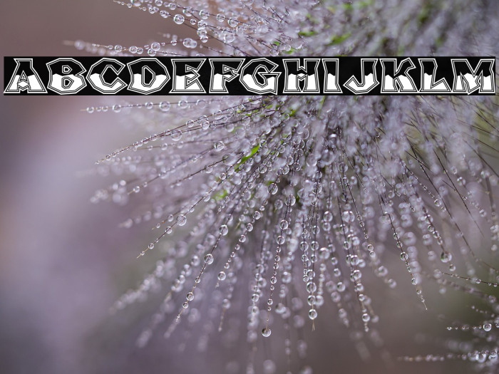 Broken Poster Tour Busted Example 3