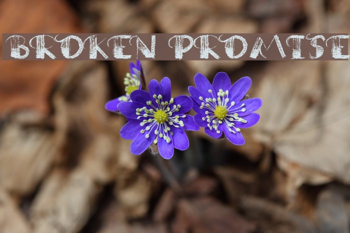 Broken Promise Font examples