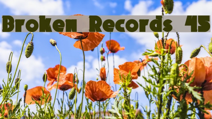 Broken Records 45 Font examples