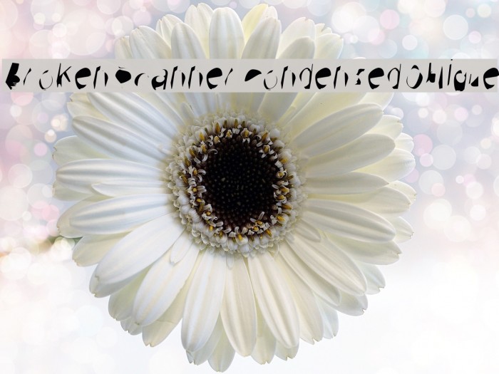 Broken Scanner Condensed Oblique Font examples