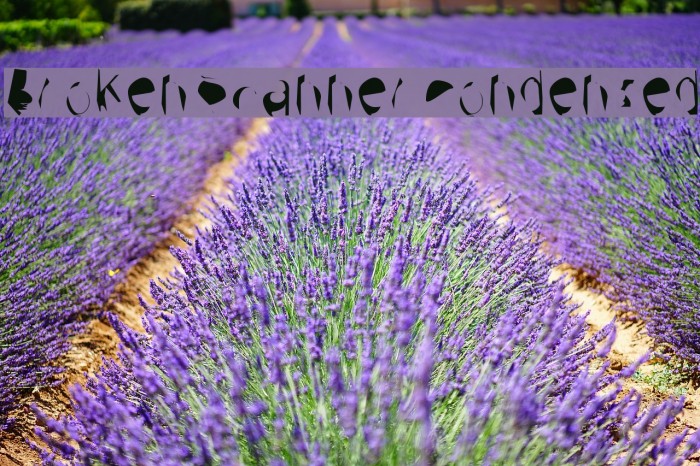 Broken Scanner Condensed Example 1