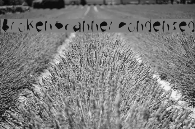 Broken Scanner Condensed Font examples