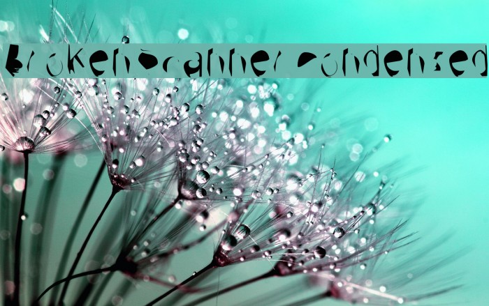 Broken Scanner Condensed Example 3