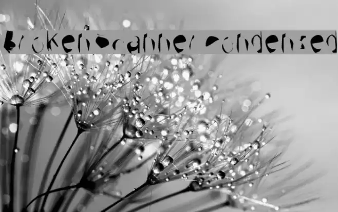 Broken Scanner Condensed Font examples