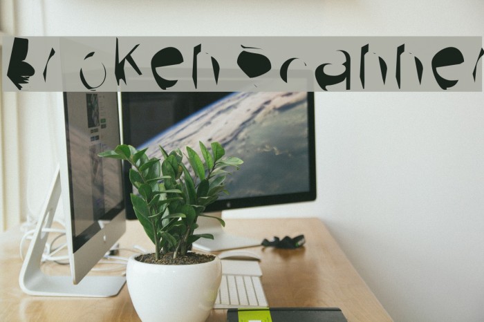 Broken Scanner Example 1