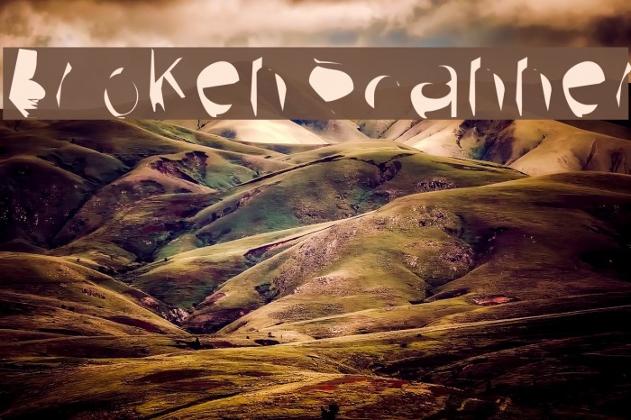 Broken Scanner Example 2