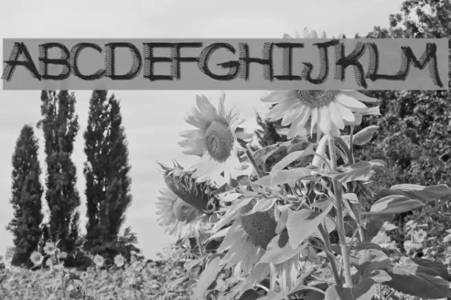 Broken Soul Font examples