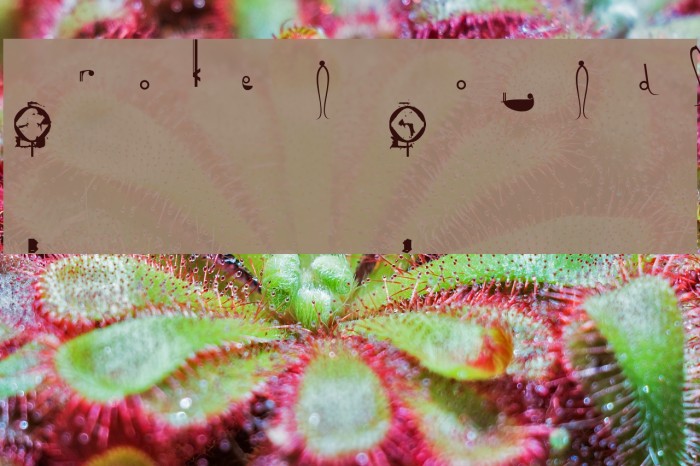 Broken Sounds Example 2