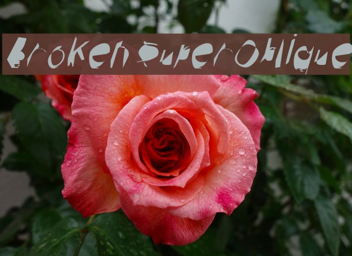 Broken SuperOblique Example 1