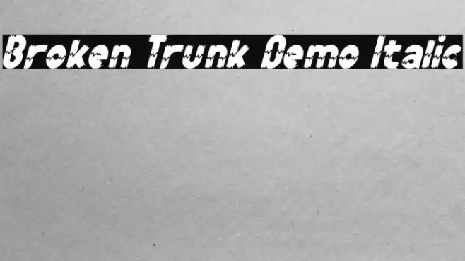 Broken Trunk Demo Italic Caratteri examples