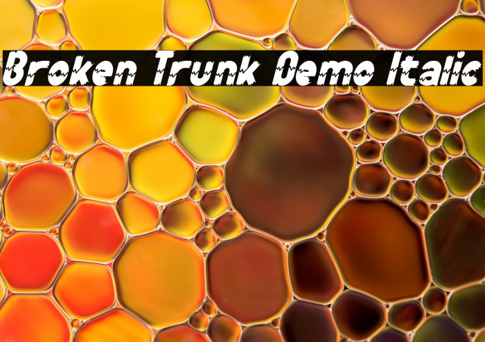 Broken Trunk Demo Italic Example 2