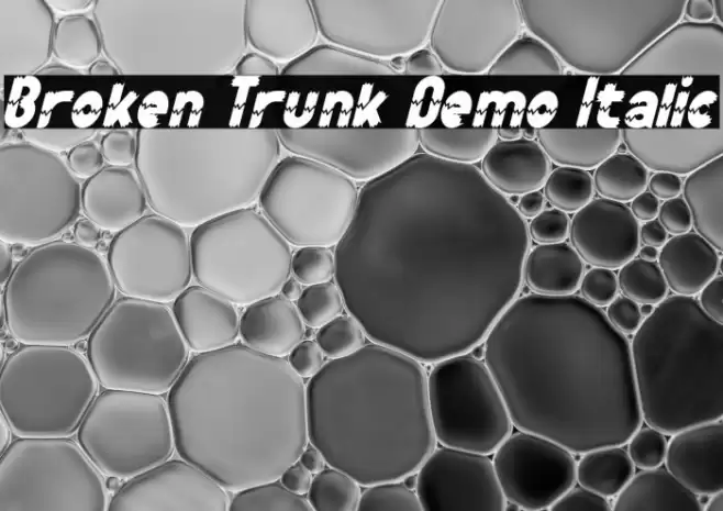 Broken Trunk Demo Italic Caratteri examples