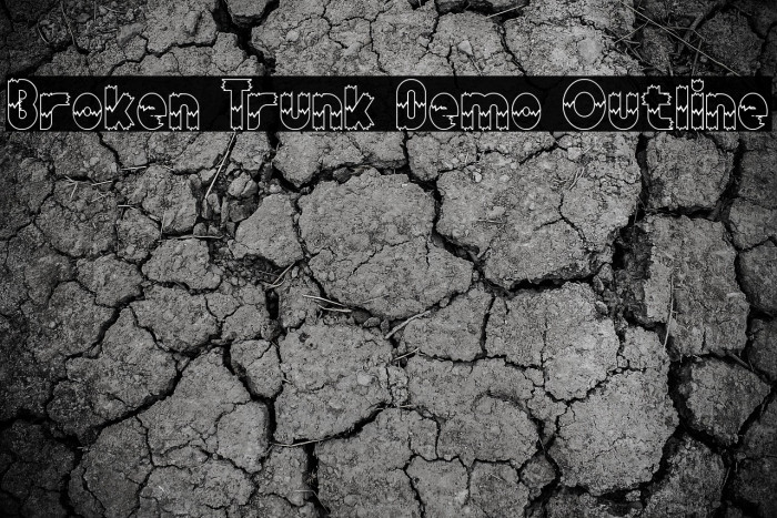 Broken Trunk Demo Outline Example 2