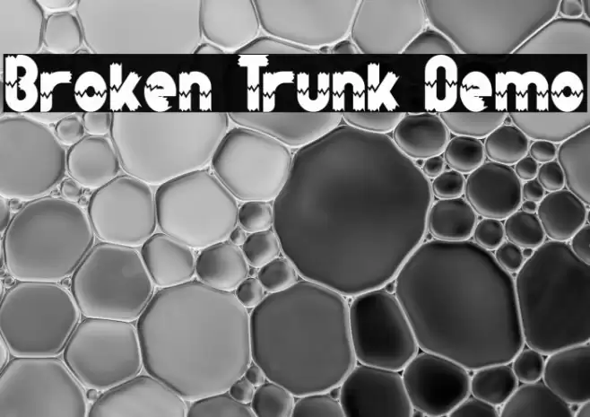 Broken Trunk Demo خط examples
