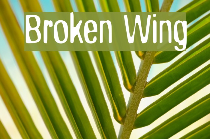 Broken Wing Font examples